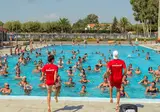 Riembau foto 19