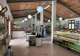 Sao Miguel foto 3