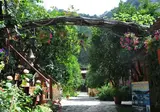 Türkmen Tree Houses foto 18