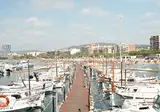 Internacional Palamos foto 29