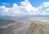 Fiets- en vaarvakantie Waddenzee foto 49