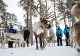 8 daagse excursiereis Nangu Wilderness Week foto 4