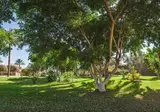 Serry Beach Resort foto 28