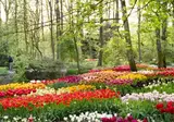 Vodatent Camping de Tulpenweide foto 3