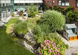 Ringhotel Birke foto 26