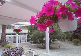 Villa Paola foto 10