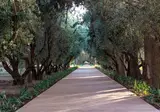 The Oberoi Marrakech foto 20