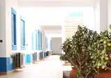 Oasis Beach Apartments foto 8