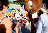 Camping Signol foto 18