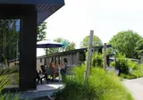 Maaspark de Lithse Ham foto 1