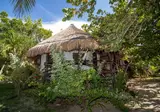Blue Holbox Hotel foto 3
