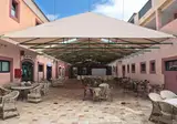 O7 Aloe Corralejo foto 15
