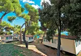Arena Stoja Campsite foto 1