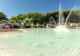 Pineta Sul Mare Camping Village foto 2