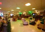 Cesotta foto 27