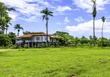 11-daagse rondreis A Taste of Suriname foto 1