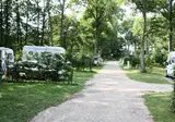 De La Forêt foto 5