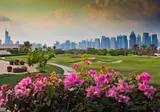 Address Montgomerie foto 18