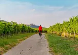 Ontdek de Duitse Wijnroute vanuit Bad Dürkheim foto 4