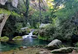 Les Chênes Blancs foto 25
