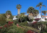 La Palma Jardin foto 28