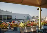 Golden Tulip Muscat foto 15