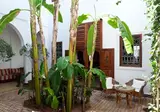 Riad Les Bougainvilliers foto 9