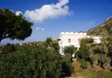 Park Hotel Terme Mediterraneo foto 22