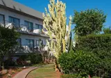 Anissa Oasis Beach foto 18