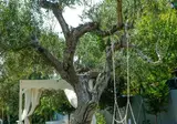 Acrotel Athena Villas foto 16
