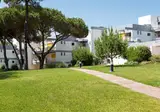 Pinhal da Marina foto 6