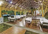 Jungle Beach Resort foto 21