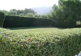 Hotel Poseidon foto 11