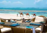 Swahili Beach foto 9