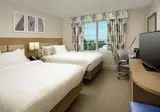 Hilton Garden Inn Miami South Beach foto 5