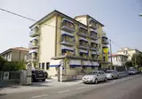 Fortunella foto 17