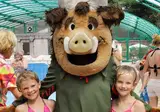 Oostappen Vakantiepark Arnhem foto 26