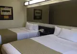 Microtel Inn & Suites by Wyndham Toluca foto 4