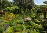 Padma Resort Ubud foto 19