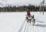 8 daagse excursiereis Lapland Hotel Sirkantähti foto 5