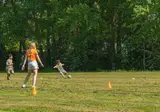 Recreatiepark Scherpenhof foto 24