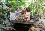 Center Parcs Limburgse Peel foto 5