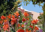 St. George's Bay Country Club foto 27