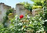 Le Terre dei Cavalieri Appartementen foto 10