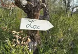 Camping Verdon Les Grands Domaines foto 20