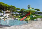 Cavallino foto 1