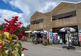 Camping La Rive foto 4