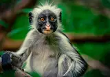 Tanzania op het gemak foto 15