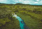 Discover the Nature of Brazil foto 2