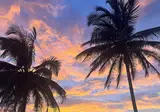 Kololi Beach foto 26